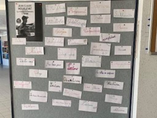 les mots qui éveillent - deux classes.jpg